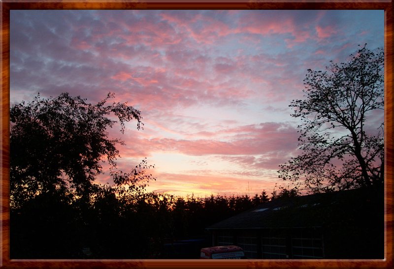 DCP_0059.JPG
