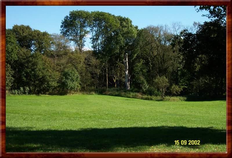 DCP_0390.JPG