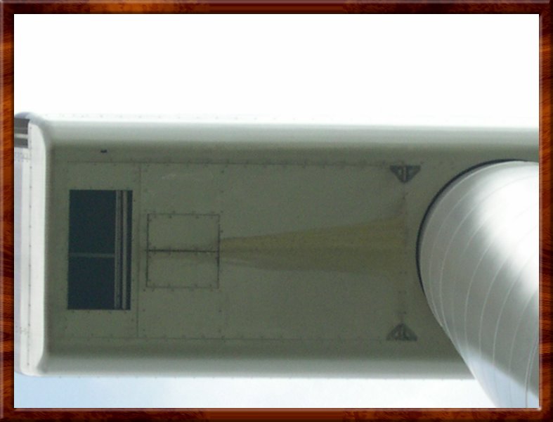 DSCN1126.JPG