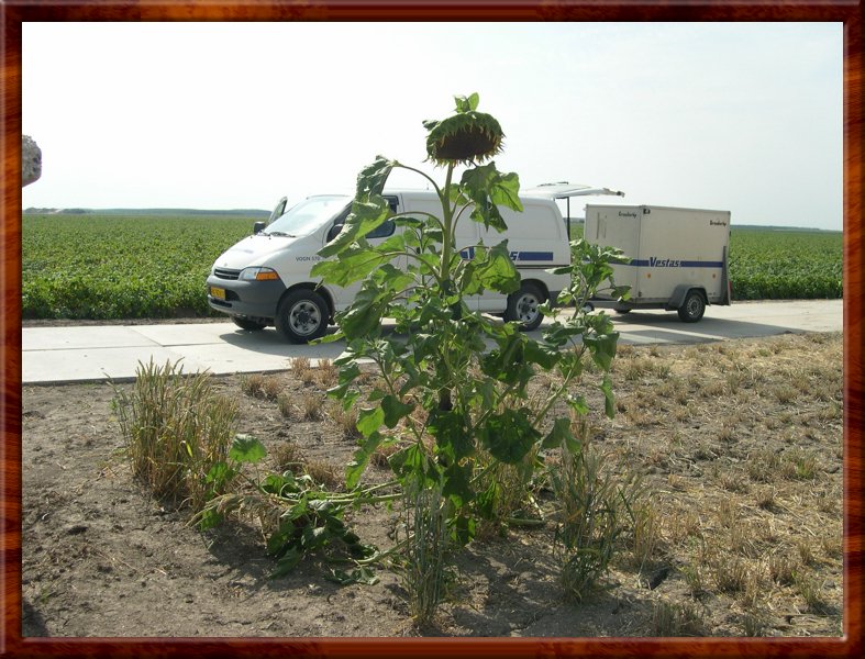 DSCN1130.JPG