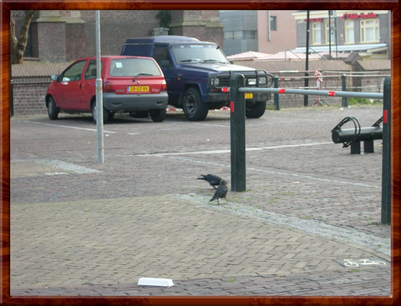 DSCN1196.JPG