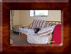DCP_0343.JPG