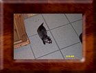 DCP_0346.JPG