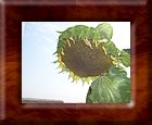 DSCN1131.JPG