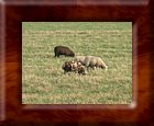 DSCN1188.JPG