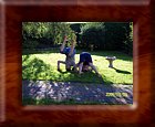100_0145.JPG