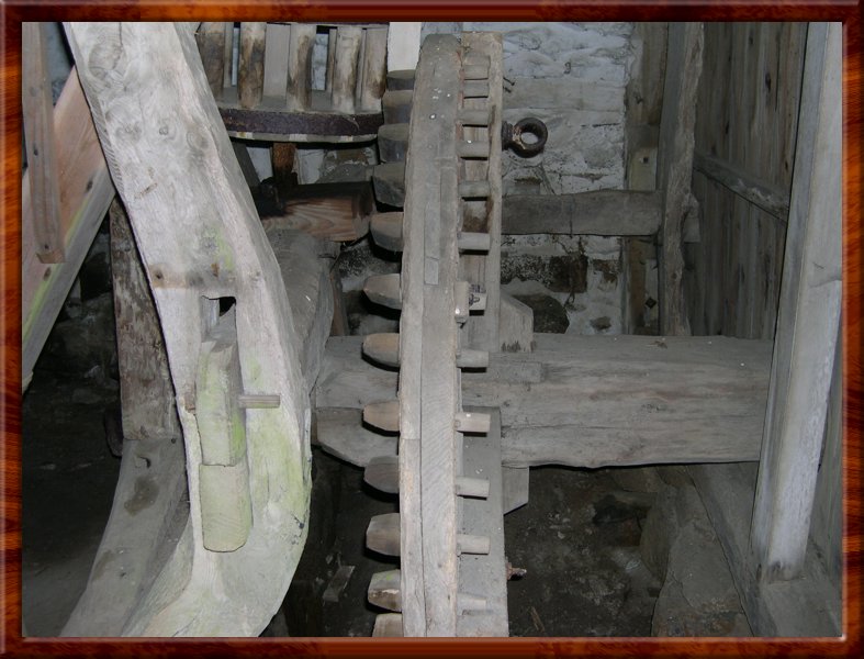 DSCN0977.JPG