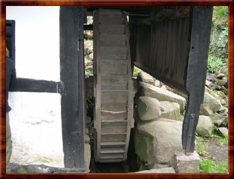 DSCN0980.JPG