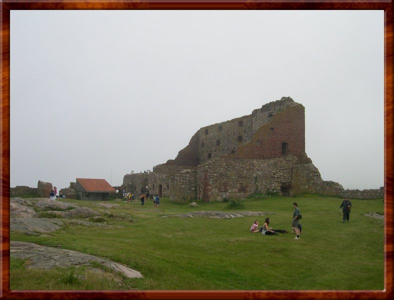 DSCN1001.JPG