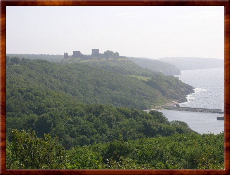 DSCN1020.JPG