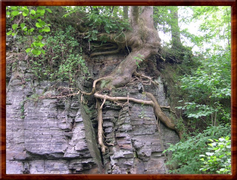 DSCN1028.JPG