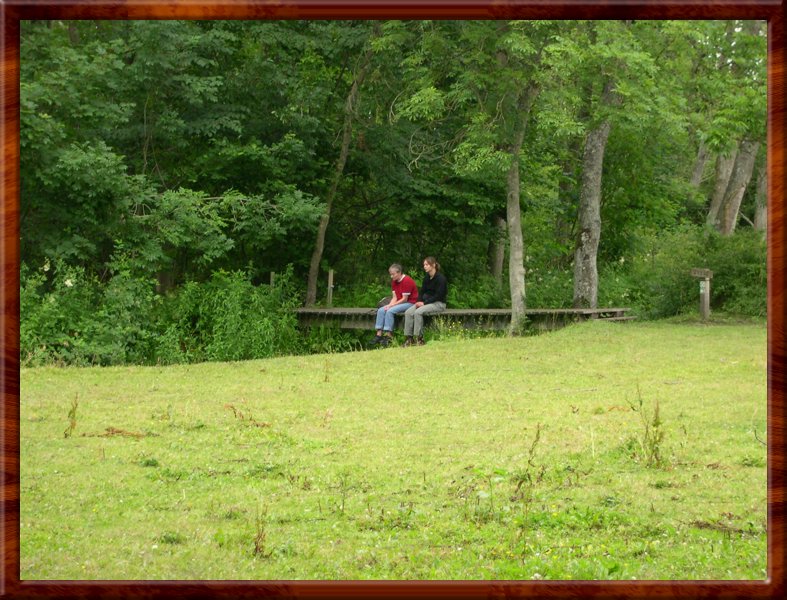 DSCN1029.JPG