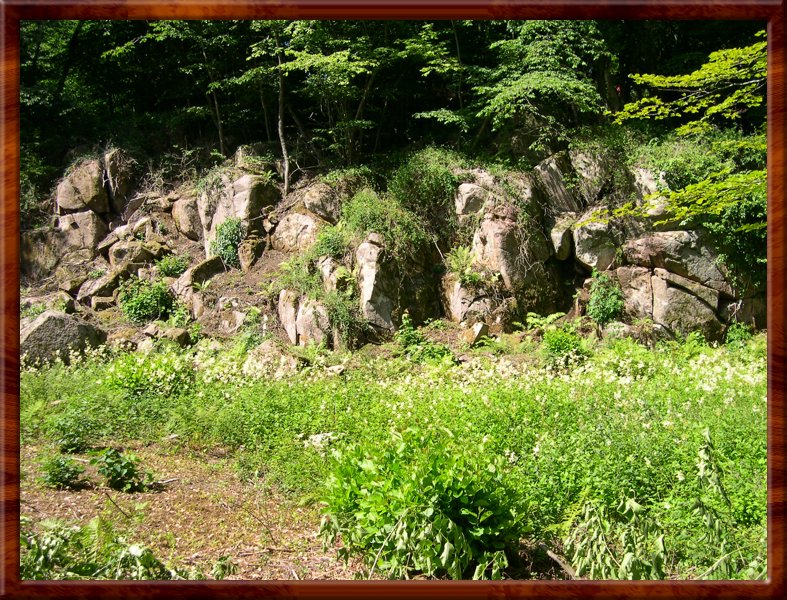 DSCN1052.JPG