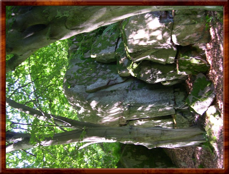 DSCN1053.JPG