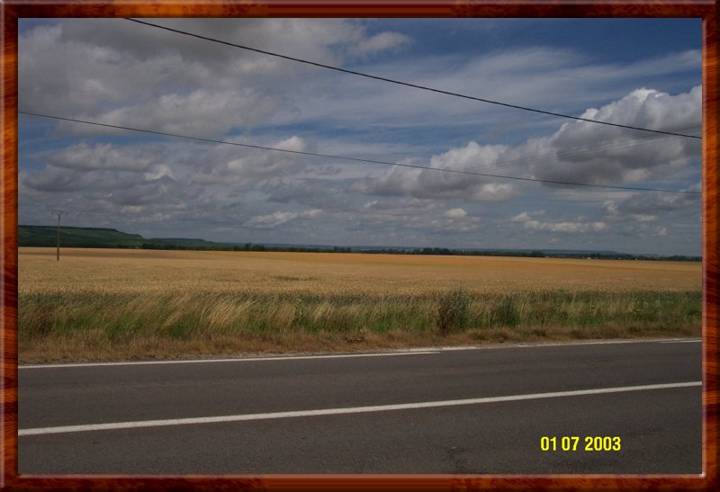 DCP_0619.JPG