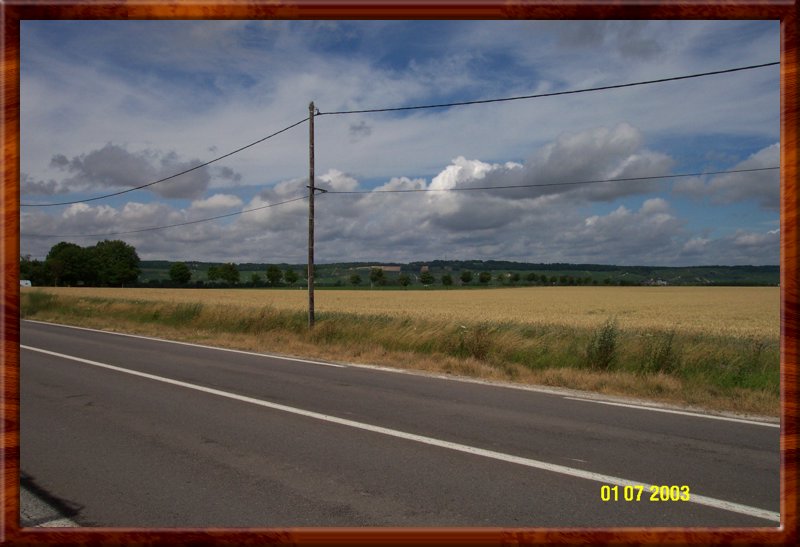 DCP_0620.JPG