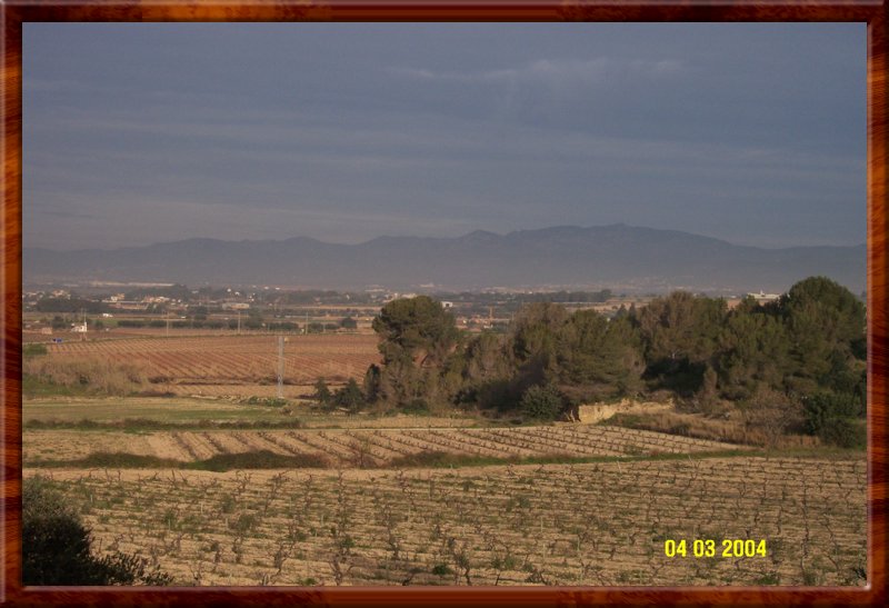 DCP_0820.JPG