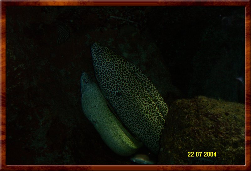 DCP_0951.JPG