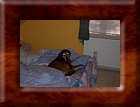 DCP_0027.JPG